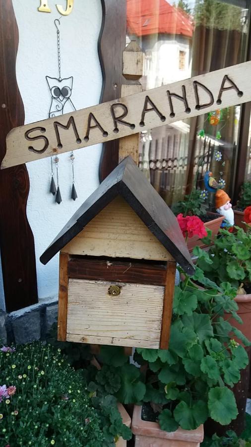 Vila Smaranda Predeal Extérieur photo
