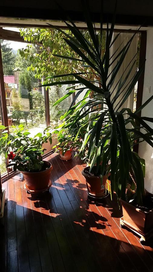 Vila Smaranda Predeal Extérieur photo